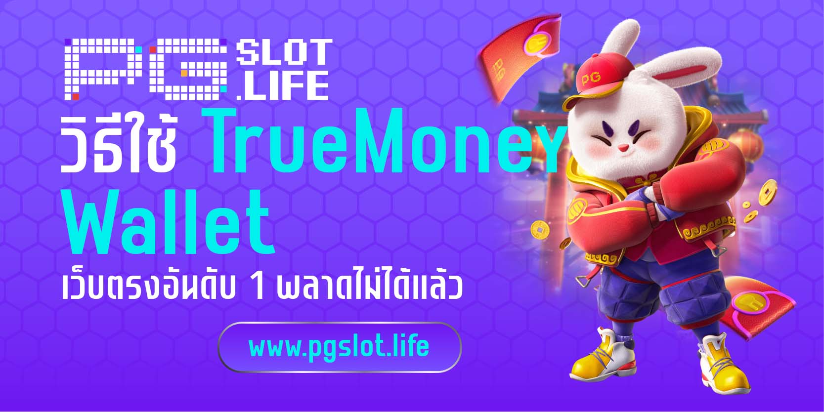 วิธีใช้ TrueMoney Wallet